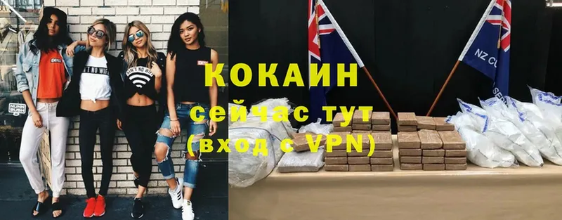 Кокаин Эквадор  Кириши 