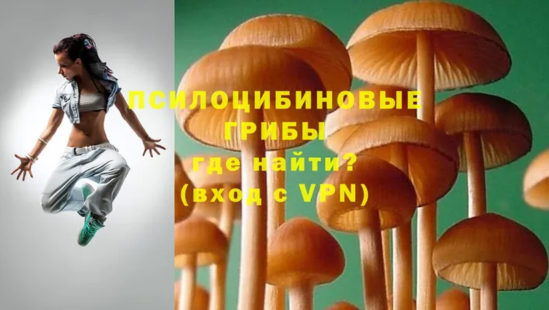 Галлюциногенные грибы Magic Shrooms  blacksprut ТОР  Кириши 